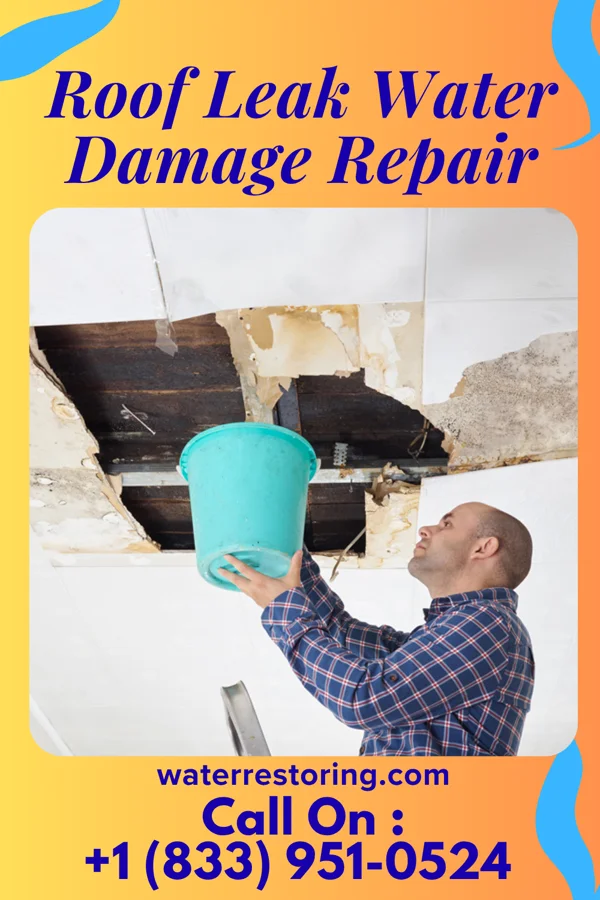 Roof Leak Water Damage Repair in Maine, WI